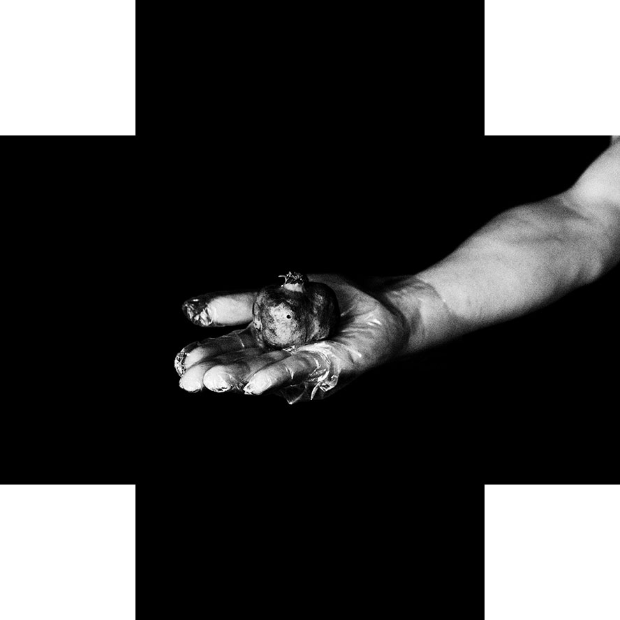 I-AM-A-FREE-WOMEN-IN-THE-GARDEN-OF-EADEN_3-izrez