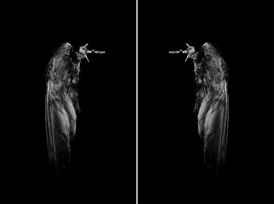 IRENA_JURCA_WCMW_2_4