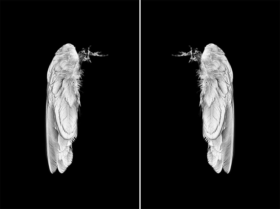 IRENA_JURCA_WCMW_3_4